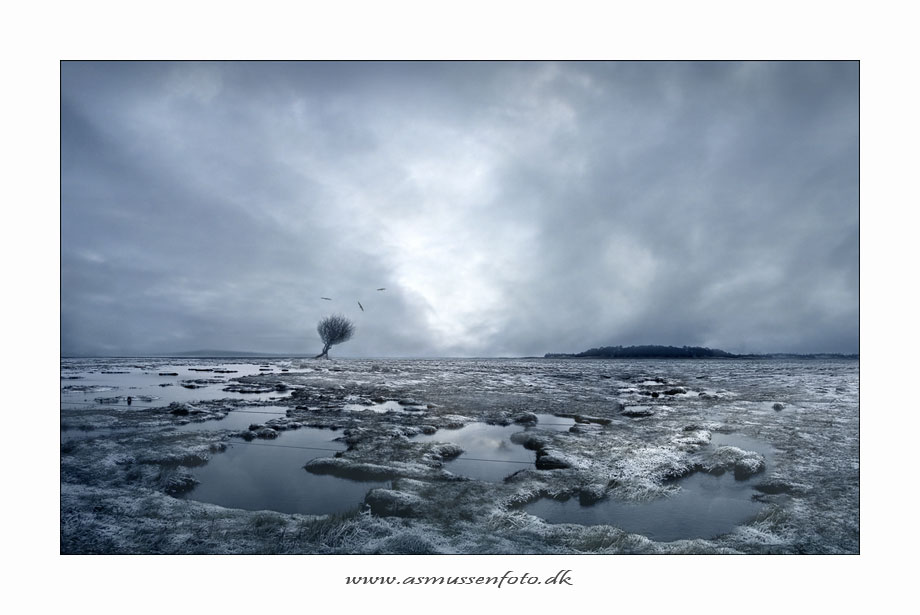 фото "Dead Marshes" метки: пейзаж, 