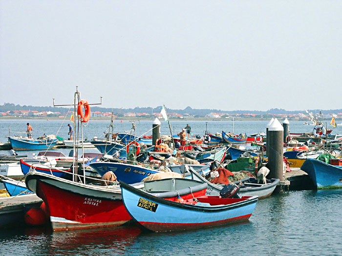 photo "Boats" tags: landscape, water