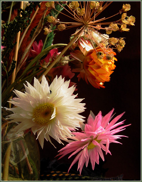 photo "Autumn bouquet" tags: still life, macro and close-up, 