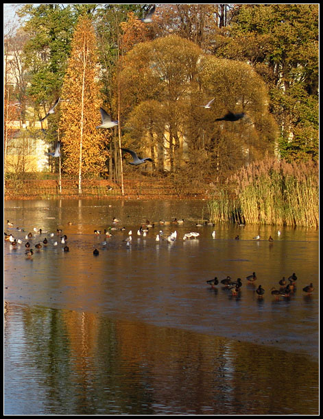 photo "Moment of autumn" tags: landscape, autumn, water