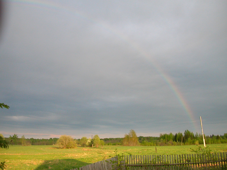 photo "Rainbow" tags: landscape, forest, summer