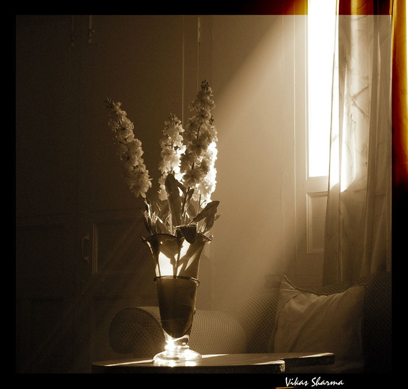 photo "Light in my house" tags: genre, still life, 