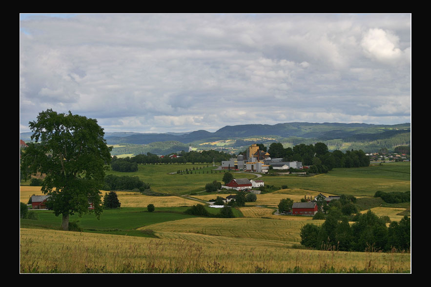 photo "***" tags: landscape, summer