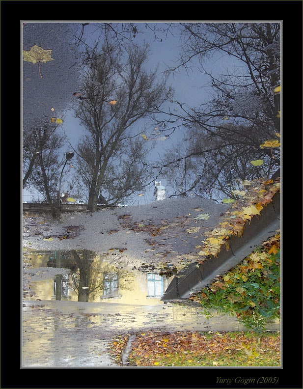 photo "Autumn vertigo" tags: landscape, genre, autumn