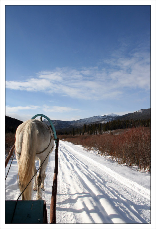 photo "Winter road" tags: landscape, winter