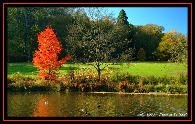 photo "Fall in the park" tags: landscape, autumn, forest