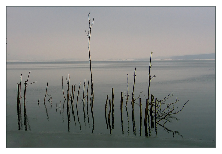 photo "End of the winter" tags: landscape, water, winter