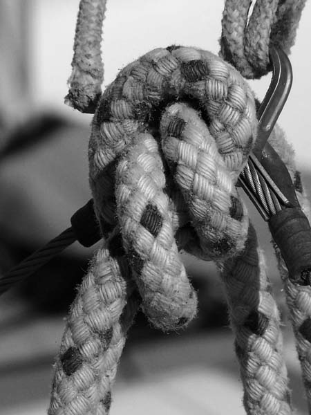 photo "Knot" tags: black&white, 