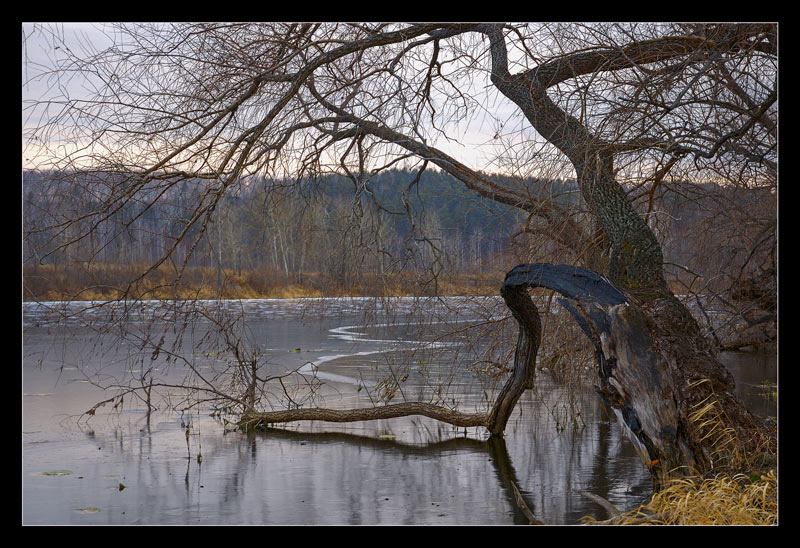 photo "icy cover" tags: landscape, autumn, water