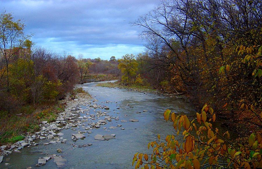 photo "late fall in tjronto" tags: landscape, autumn