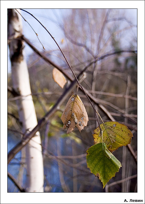 фото "***" метки: пейзаж, природа, 