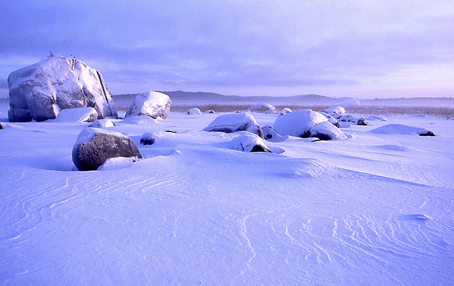 photo "Cold" tags: landscape, winter