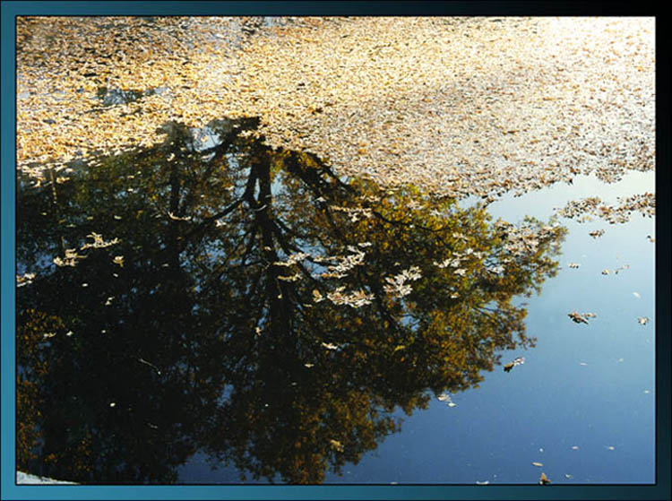 фото "Gold and blue" метки: пейзаж, вода, осень