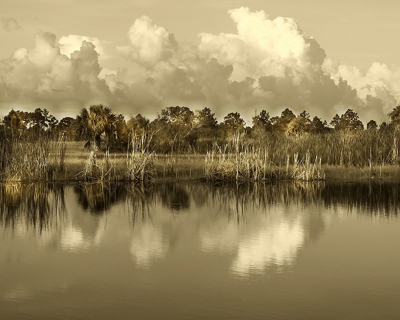 photo "The Pond in Duotone" tags: landscape, water