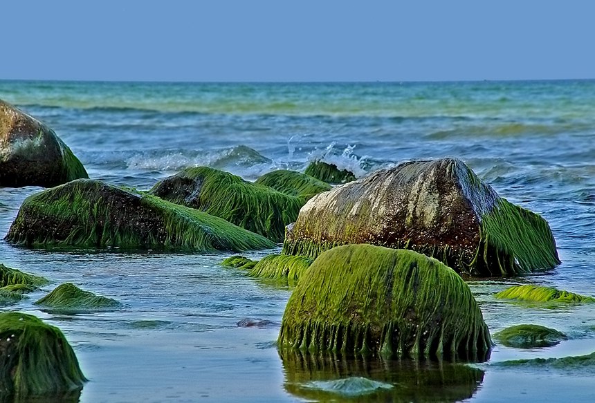 photo "Barbudos" tags: landscape, travel, Europe, water