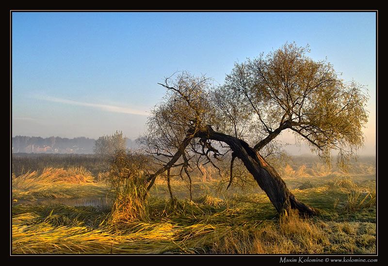 photo "It's time..." tags: landscape, nature, autumn