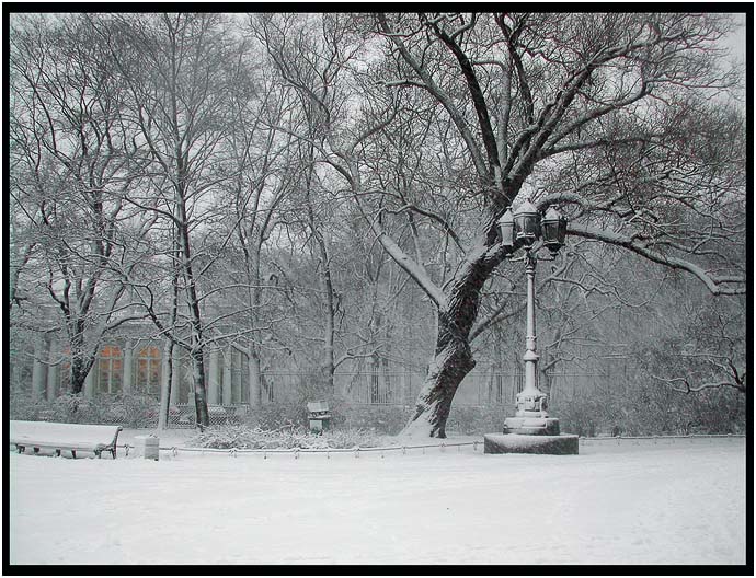 фото "Snow etude" метки: пейзаж, зима