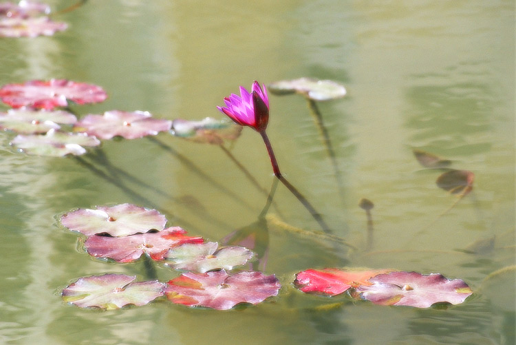 photo "***" tags: , 