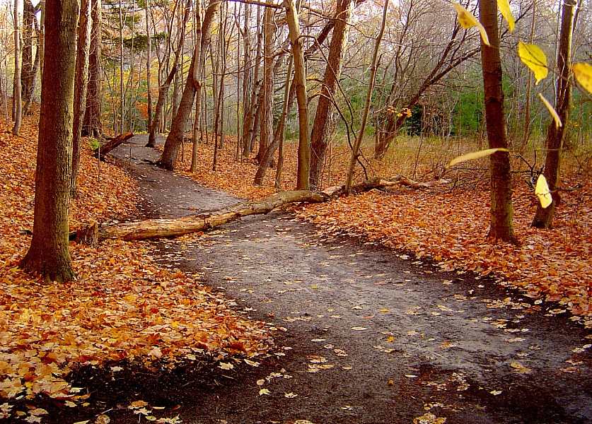 photo "***" tags: landscape, nature, autumn