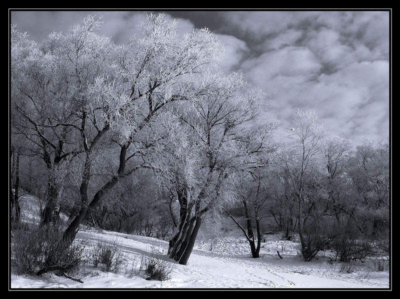 фото "White phenomena" метки: черно-белые, пейзаж, зима