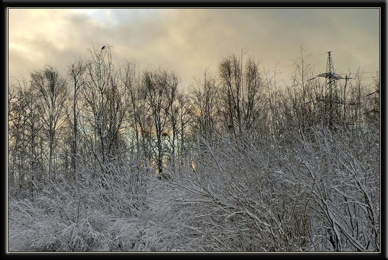 photo "***" tags: landscape, winter