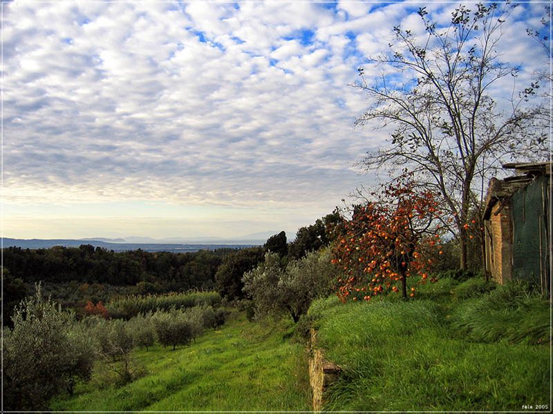 photo "Clear" tags: landscape, autumn, clouds