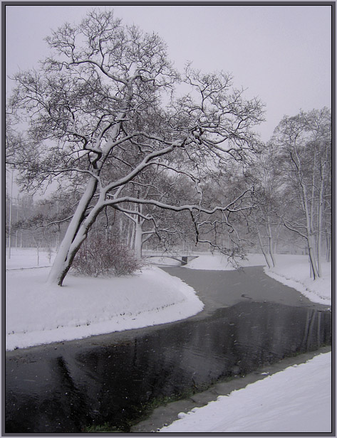 photo "The snow falls" tags: landscape, nature, winter