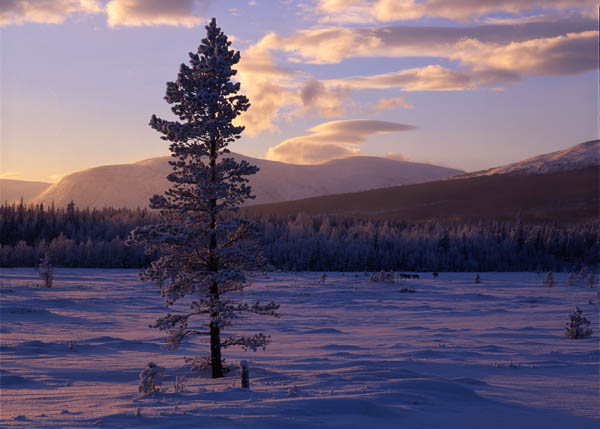 photo "***" tags: landscape, mountains, winter