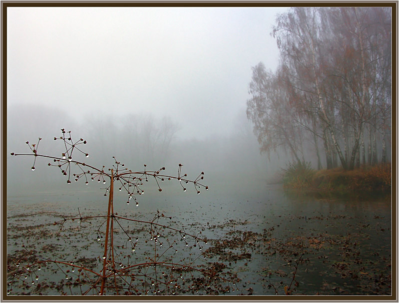 photo "Sad November" tags: landscape, autumn