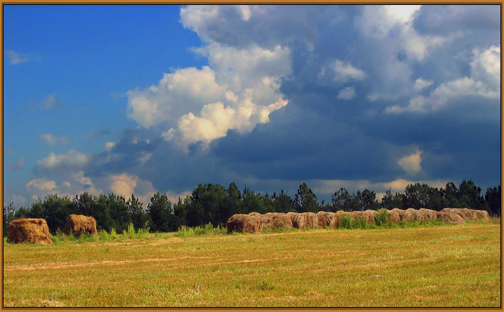 фото "Весёлая диагональ !!!" метки: пейзаж, облака, осень