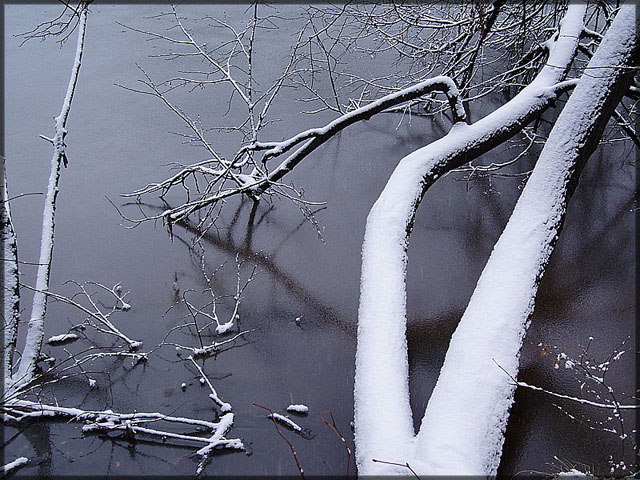 photo "Cold Beauty" tags: landscape, winter