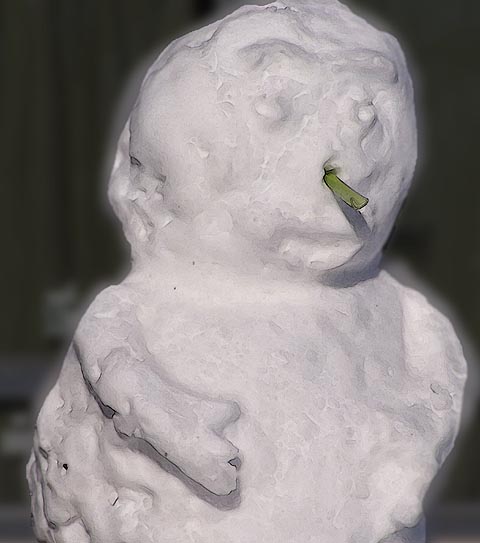 photo "Portrait of a Snowman" tags: humor, 