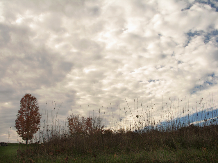 photo "Sky's Space" tags: landscape, autumn, clouds