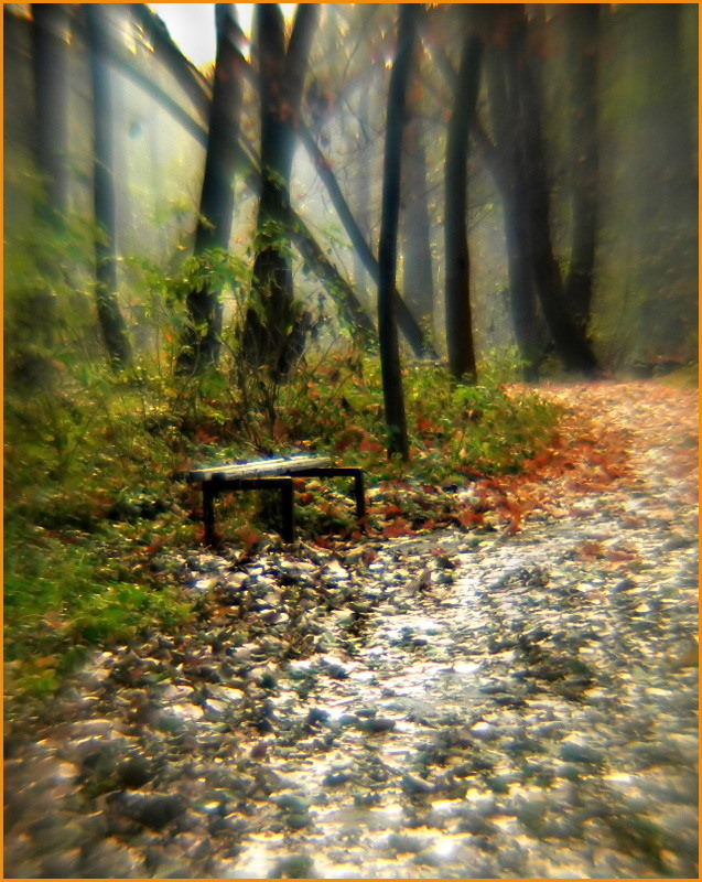 фото ""Скамейка из сказочного леса"/bench/" метки: пейзаж, лес