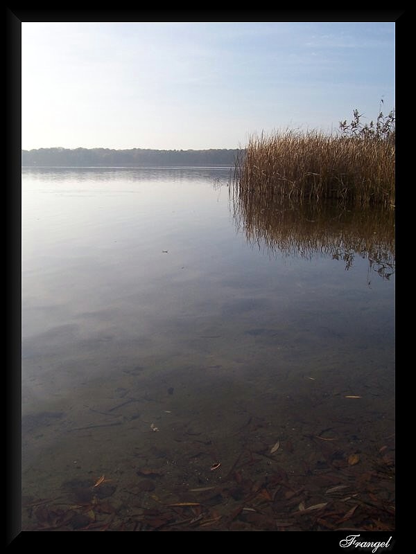 photo "Peaceful" tags: landscape, nature, autumn