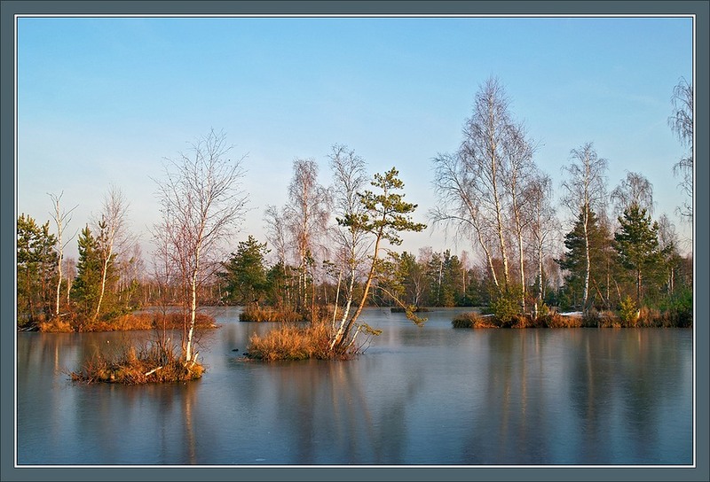 photo "Transparent November Swamp Picture" tags: landscape, autumn, water