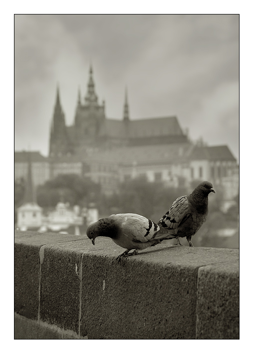фото "Prague#1" метки: путешествия, архитектура, пейзаж, Европа