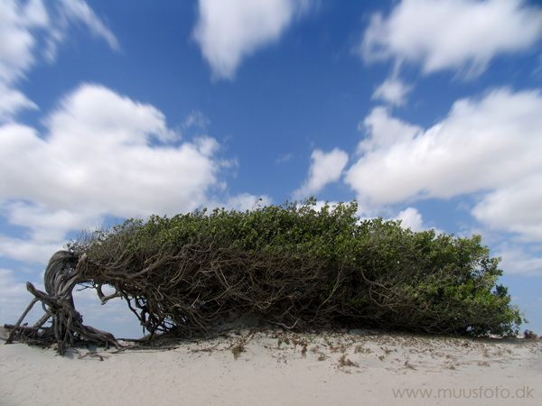 photo "DESERT WIND" tags: landscape, travel, South America