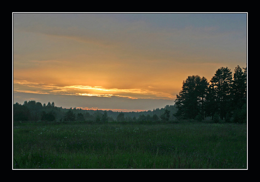 photo "Evening meadow" tags: landscape, forest, sunset