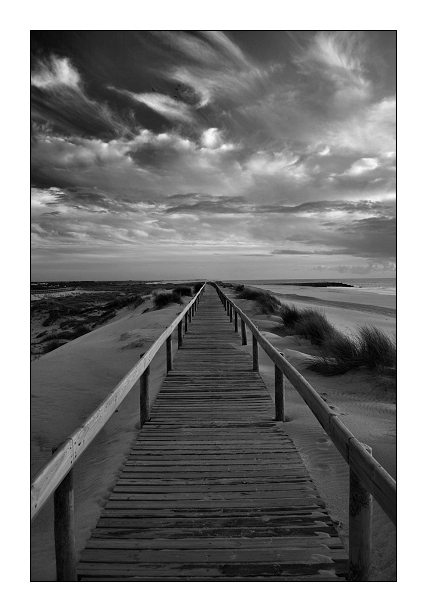 photo "Dunes walk" tags: landscape, black&white, 