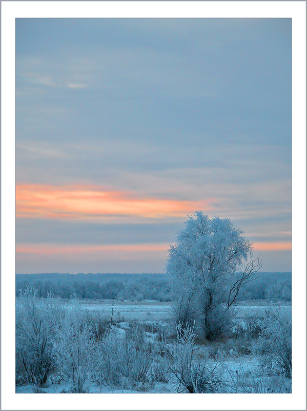 photo "Blue morning" tags: landscape, sunset, winter