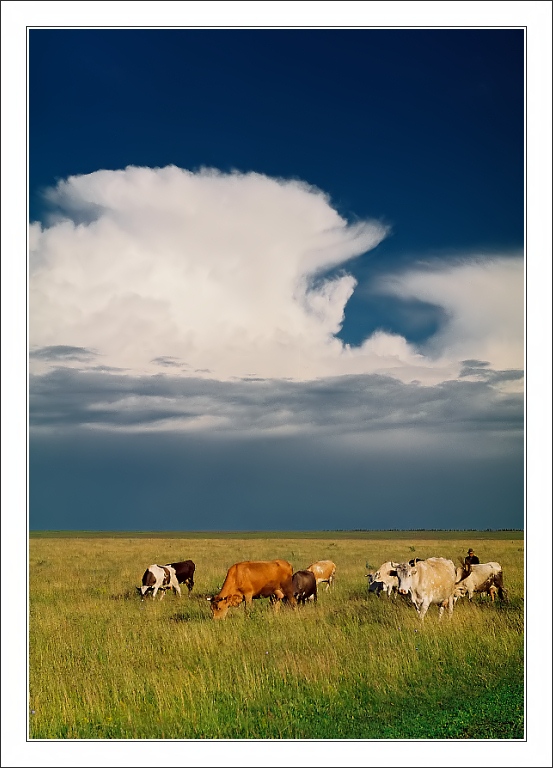 photo "Summer evening" tags: landscape, clouds, summer