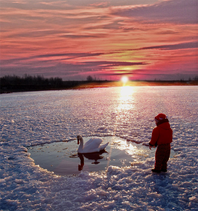 photo "Last beam of the sun" tags: landscape, nature, sunset, wild animals