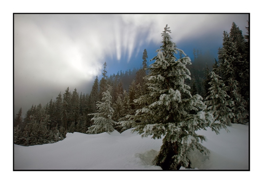 photo "W e s t b o u n d" tags: landscape, clouds, forest