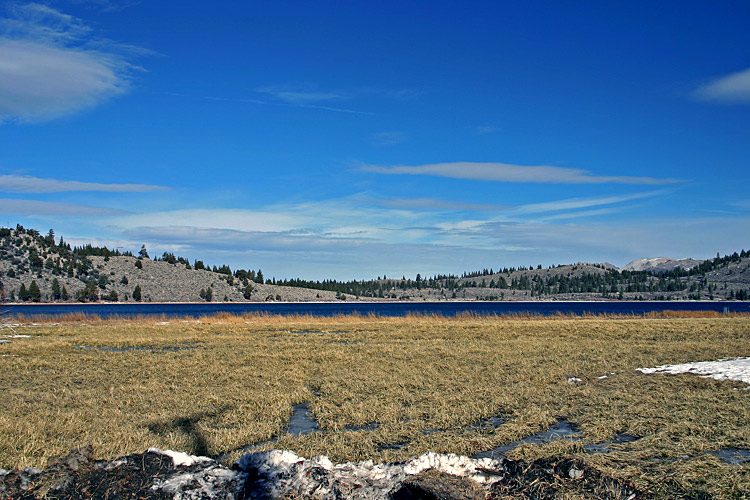 photo "Winter Marshland" tags: landscape, winter