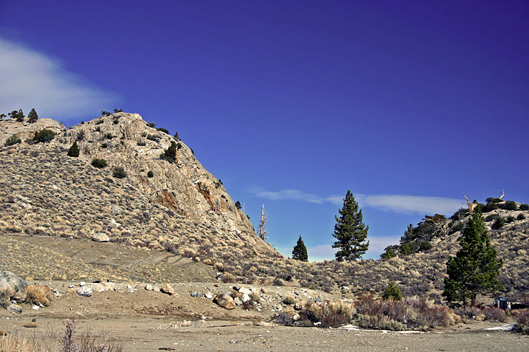 photo "Winter Sunshine" tags: landscape, winter