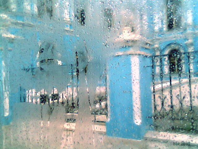 photo "Rain" tags: still life, 