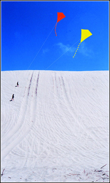 photo "Kites and dune" tags: genre, montage, 