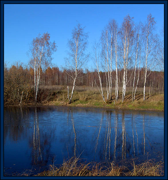 photo "Sun fall" tags: landscape, autumn