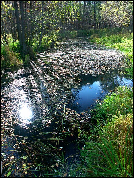 photo "September" tags: landscape, autumn, water